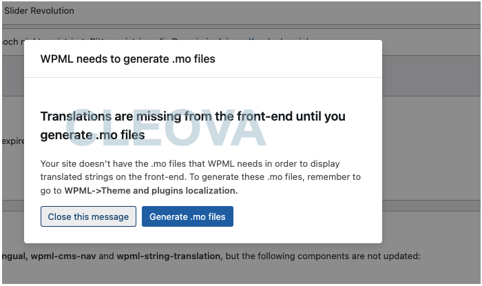 wpml error: translations are missing from the front-end until you generate .mo files